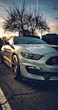 Ford Mustang Shelby GT350R | Source