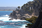 point-lobos-resource-4.jpg (3456×2304)