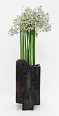 <a href="http://www.ikebana-de.com/class031115.html" rel="nofollow" target="_blank">www.ikebana-de.co...</a>