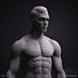 Male BaseMesh - Adam - ZTool 4R8, Colton Orr : I created this BaseMesh to meet the needs that I had when I was just beginning to learn human anatomy. I hope some of you find it useful!

Redeem this code: CB-8FC8C2A9 to get 20% off your first purchase on C