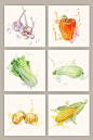 水彩绘蔬菜矢量图形图标