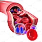 红细胞,有序,显微镜,美,小的,抽象,科学,健康保健