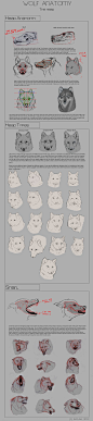 Wolf Anatomy - Part 1 by Autlaw on deviantART via PinCG.com