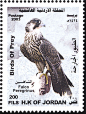 2003年约旦发行猛禽邮票，全套邮票3枚，无齿票1枚-2、邮票、鸟、邮品纸币