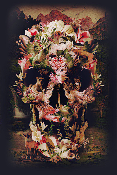 Jungle Skull Art Pri...