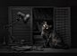 General 2048x1468 Sanket Khuntale dark lamp cat animals 500px