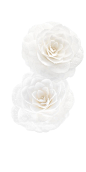 CHANEL - HYDRA BEAUTY MICRO CRÈME FORTIFYING REPLENISHING HYDRATION : At the forefront of microfluidic technologies, CHANEL Research has created the 1st cream with camellia micro-droplets