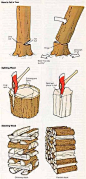 How to fell a tree and split the logs.