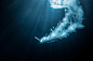 Howard_Donald_Zac_Macaulay_underwater_cameraman_02.jpg (2000×1335)