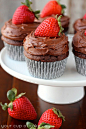 Chocolate Strawberry Cupcakes with Chocolate Sour Cream Frosting!