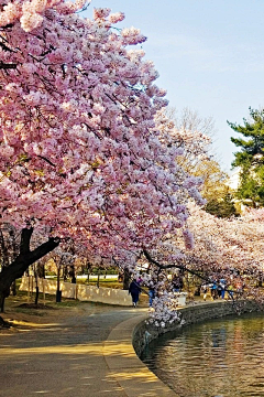 シmīSS、賴采集到陪你看江山如画