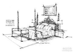 龙春山采集到手绘