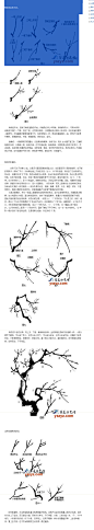   |  分享   
  
 
梅花枝条的几个自然规律：
　
       画梅，从何下手，是初学者碰到的第一个问题。了解生长规律，理解形态结构，掌握基本造型规律，是首要的一环。画梅枝起手是第一步，和书法笔顺一样，哪笔先哪笔后，都有讲究，同时要了解，梅花枝条的基本单位组合，即从一笔到五笔、六笔，构成枝条的基本造型。　


　　

　　 在历史长河中，经历代画家辛勤探索、概括总结，逐步形成了梅枝的造型规律，借鉴文字的形态，如“女”“之”“丫”“丛”“Ｓ”　形等，作为梅枝的基本造型单位，从而方便了初学