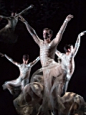 纪梵希创意总监首次结缘芭蕾,Givenchy【图片，资讯，明星，电影】