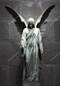 雕塑的黑背景下的天使