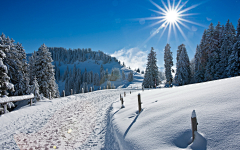 xiao叶采集到冰雪风景&沙漠风景&高清