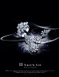 Luce'n Lee : Luxury diamond jewellery Luce'n Lee's campaigns on magazines