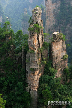 很开心～采集到山