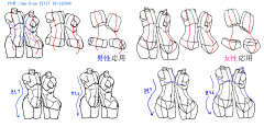 DEMON-77采集到【人体】肌肉、曲线