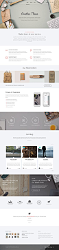 Mobius is a multipurpose, clean, retina ready and fully responsive WordPress Theme. It is suited for any kind of website such as business and corporate sites, e-shops, agencies, creative portfolio, blog and photograph sites.: 