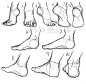 #SAI资源库# 100种不同的动态动漫脚部绘画参考。自己收藏练习，转需~