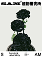 永生黑玫瑰｜Preserved Fresh Black Rose
Preserved Fresh Black Rose
-
永生黑玫瑰是永不凋谢的鲜花，寓意无尽的爱和不减的浪漫。
