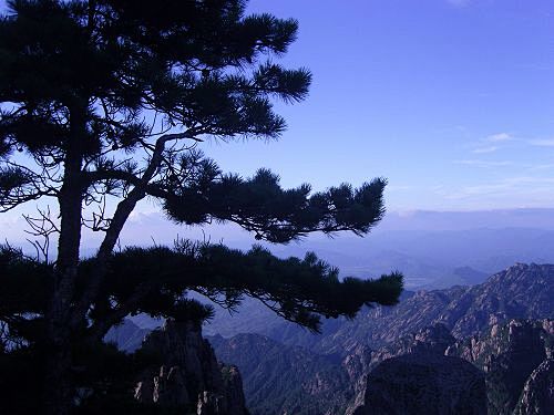 黄山行随拍（技术不好表笑话偶）