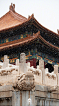 一场#紫禁城的初雪#，让这座城跟你一起白了头 ​​​​
