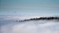 匈牙利 布克山脉
Sea of clouds by Gabor Koscso on 500px