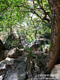 鼓浪屿 南普陀寺（厦门）, 请给予我温暖旅游攻略