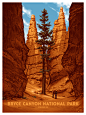 Fifty-Nine Parks | Bryce Canyon National Park, Claire Hummel : My Bryce Canyon NP poster for Fifty-Nine Parks, now available in the shop: https://59parks.net/collections/all It's a six-color screen print, 18x24" open edition or 24x36" timed edit