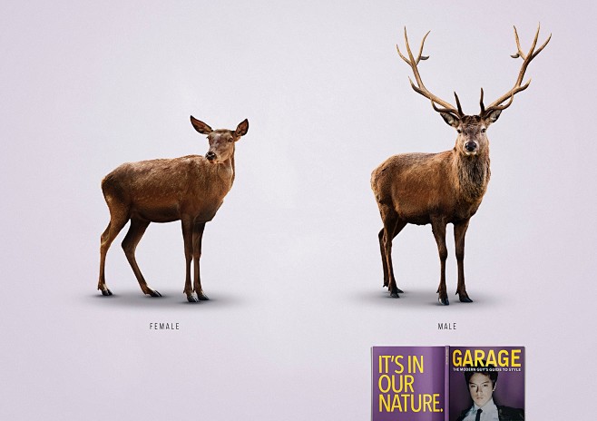 Garage: Deer