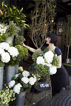 阳光下的小小花✿采集到花店和花园