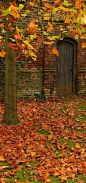 Autumn Leaves in Osterley Park, London | by Laura Nolte: 