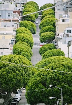 咖啡小馆采集到景观