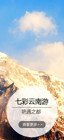 月球的主儿采集到banner