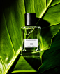 David Prince Photography | Fragrance-&-Beauty | 64 : This is Design X, a website you can build yourself