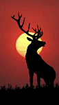 Red Deer Silhouette | Uploader