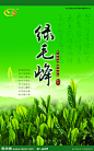 茶叶 生态 包装 绿毛峰  绿色 山 文化 中国 元素