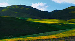 gaulle采集到新疆风景