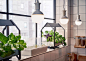 Indoor Gardening Products by Ikea