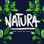 NATURA - The land of music : Logo, flyers and posters design for “NATURA – The land of music”" saturdays.Handwritten logo design, african style decorations for flags and other supports and obviusly flyers & posters.