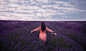 People 2048x1209 velvet field plants women landscape women outdoors lavender