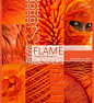 Модный цвет PANTONE 2017 - 17-1462 Flame / Пламя, сезон лето-весна 2017: 