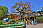 Disneyland Summer 2013 - Wandering through Toontown | 相片擁有者 PeterPanFan