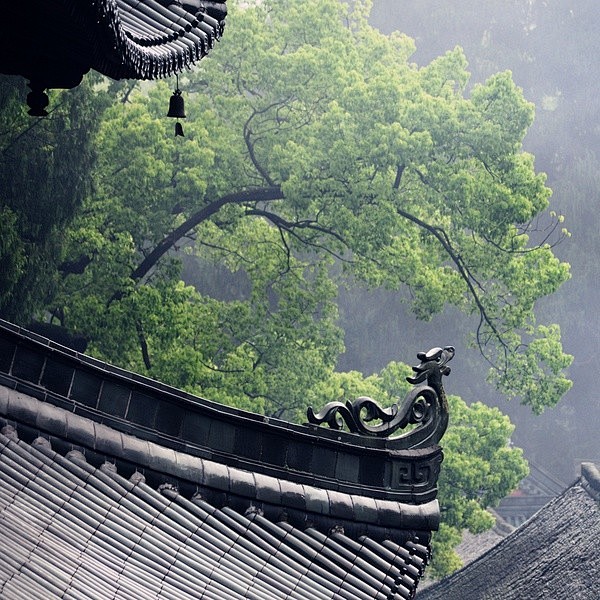 雨纷纷旧故里草木深， 我听闻你仍守着孤城...