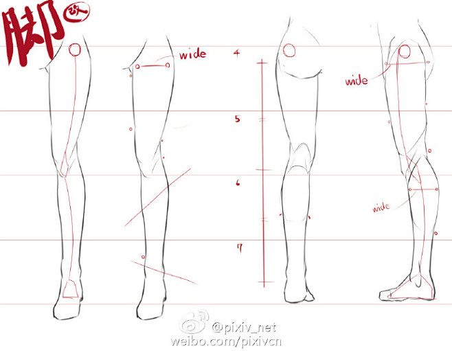 腿部画法基础讲座 – 画出协调的大腿根、...