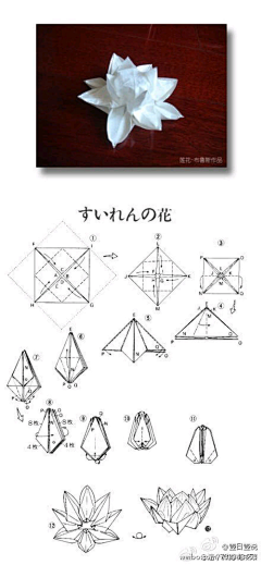 白芸汐采集到纸艺折艺