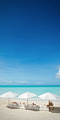 鹦鹉洲，特克斯凯科斯和海滩