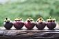 5 Mangosteen fruits by Thai Thu on 500px